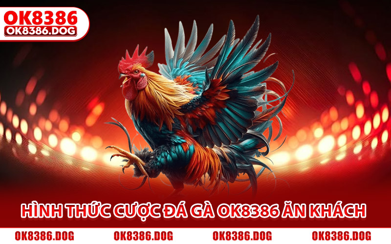 Điểm danh các hình thức cược đá gà Ok8386 ăn khách nhất