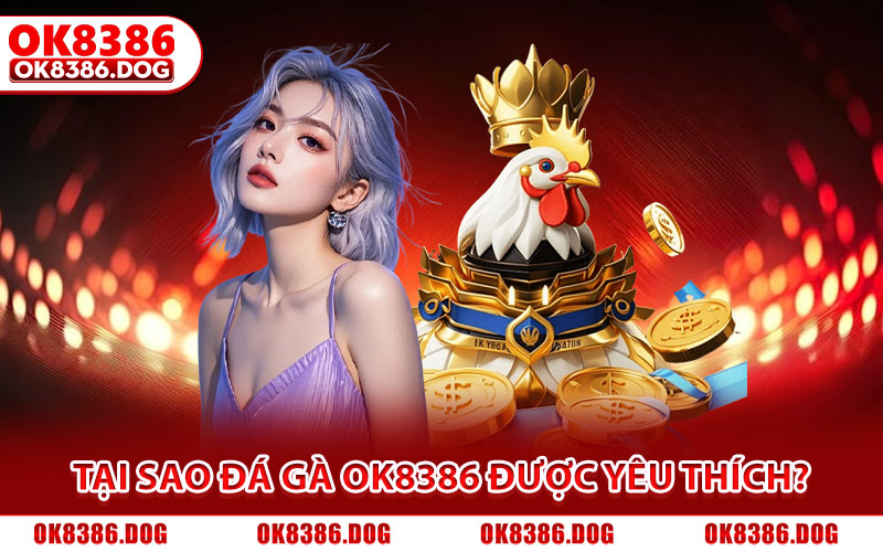 Tại sao đá gà Ok8386 được hội viên yêu thích?